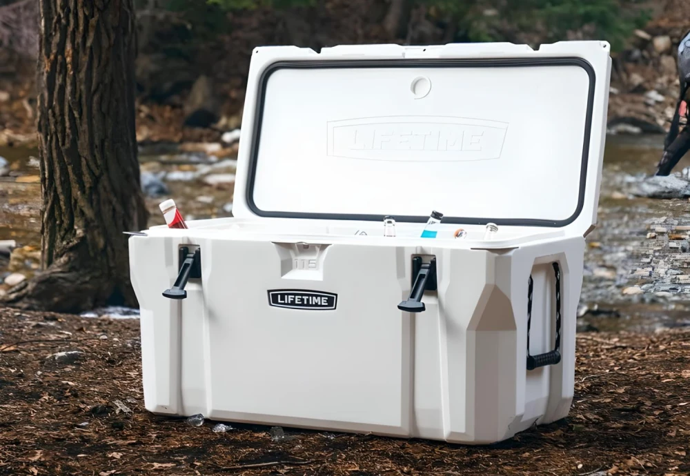 outdoor food cooler