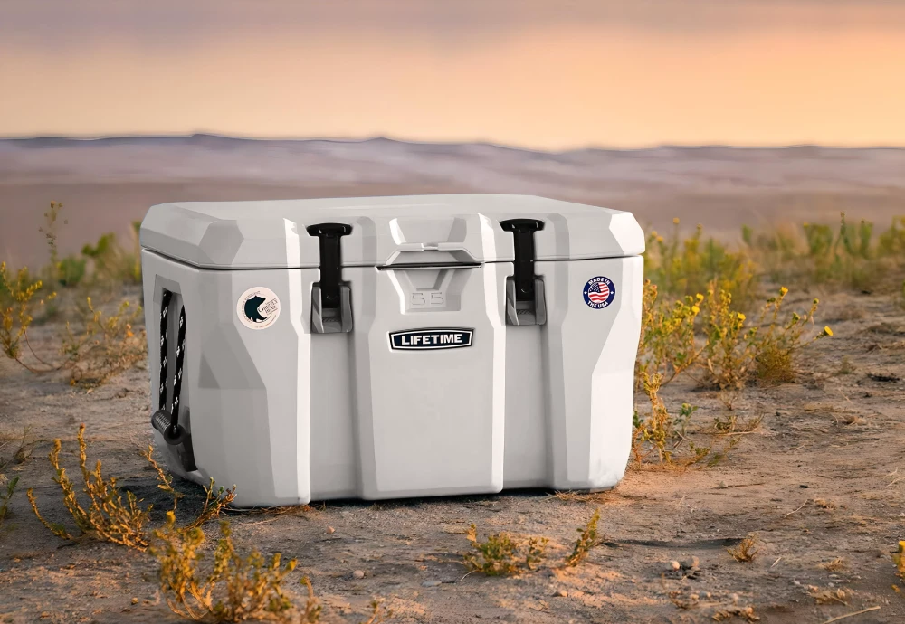 portable cooler box