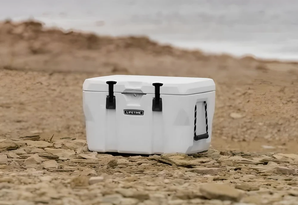 cooling ice chest