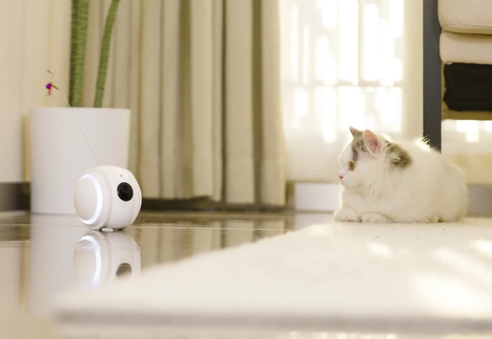 wireless pet camera