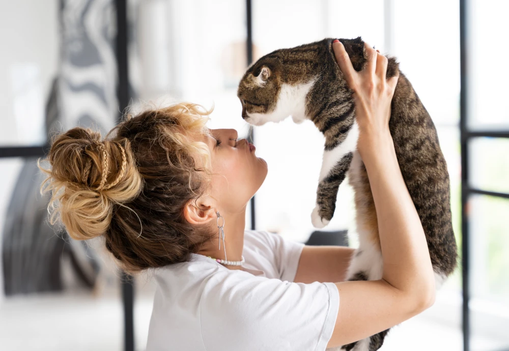 indoor camera pet