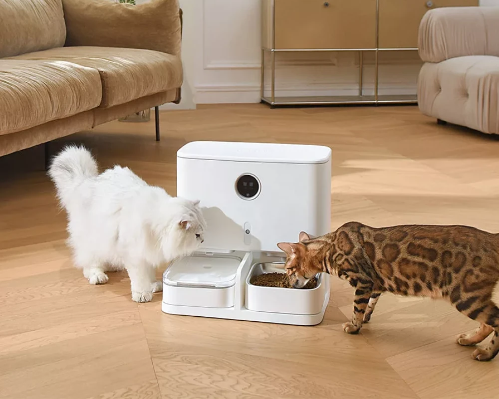 automatic cat feeder pets at home