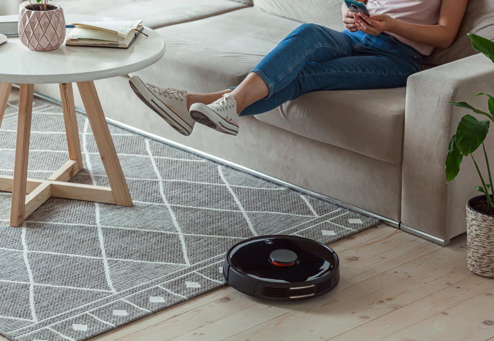 robot vacuum cleaner and mop